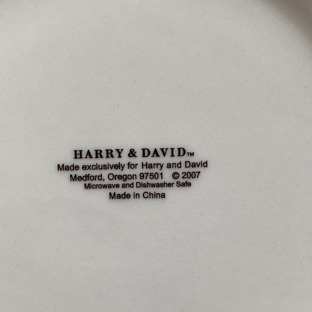 Vibrant Fruit Pattern Dinner Plates Set - Picture 2 of 2